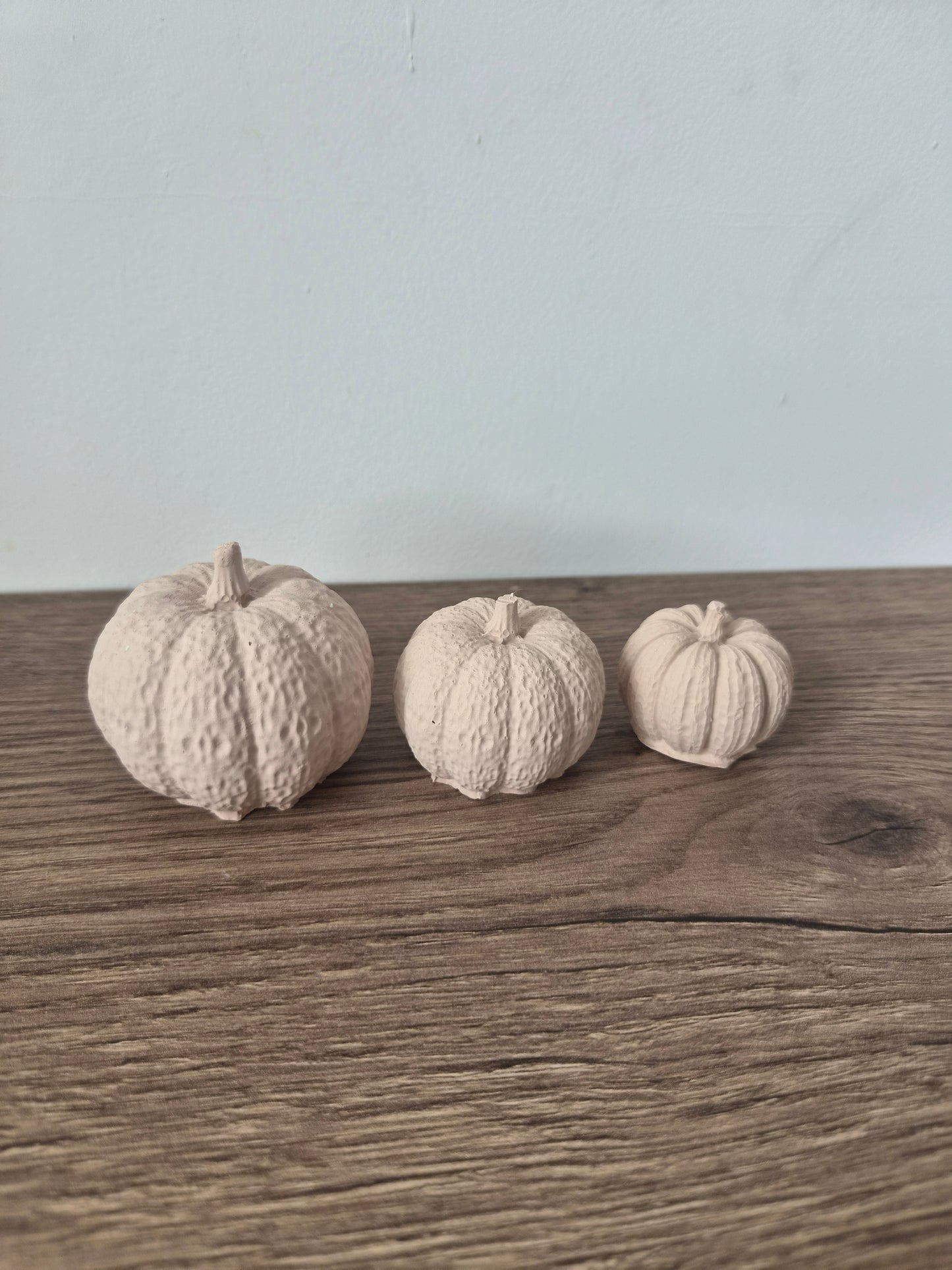 Kürbis Set Beige