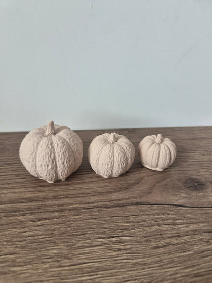 Kürbis Set Beige