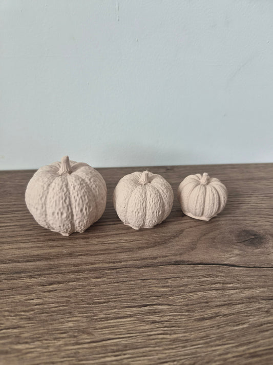 Kürbis Set Beige