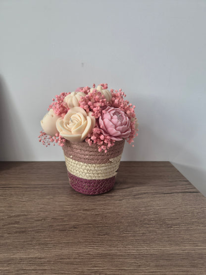 Rosa Autumn